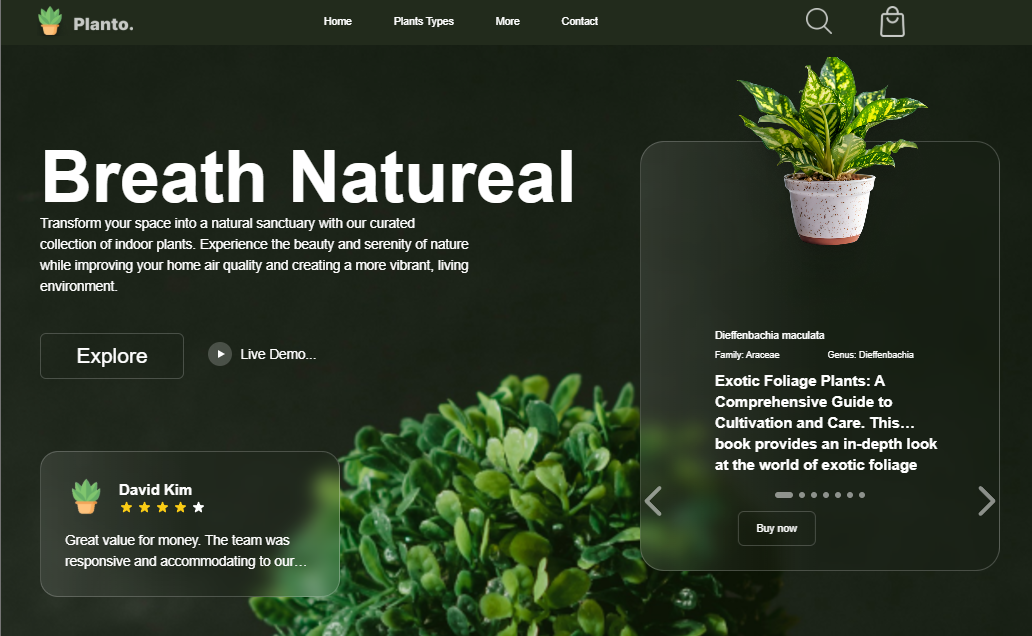 🪴 Breath Natural - NextJS project screenshot