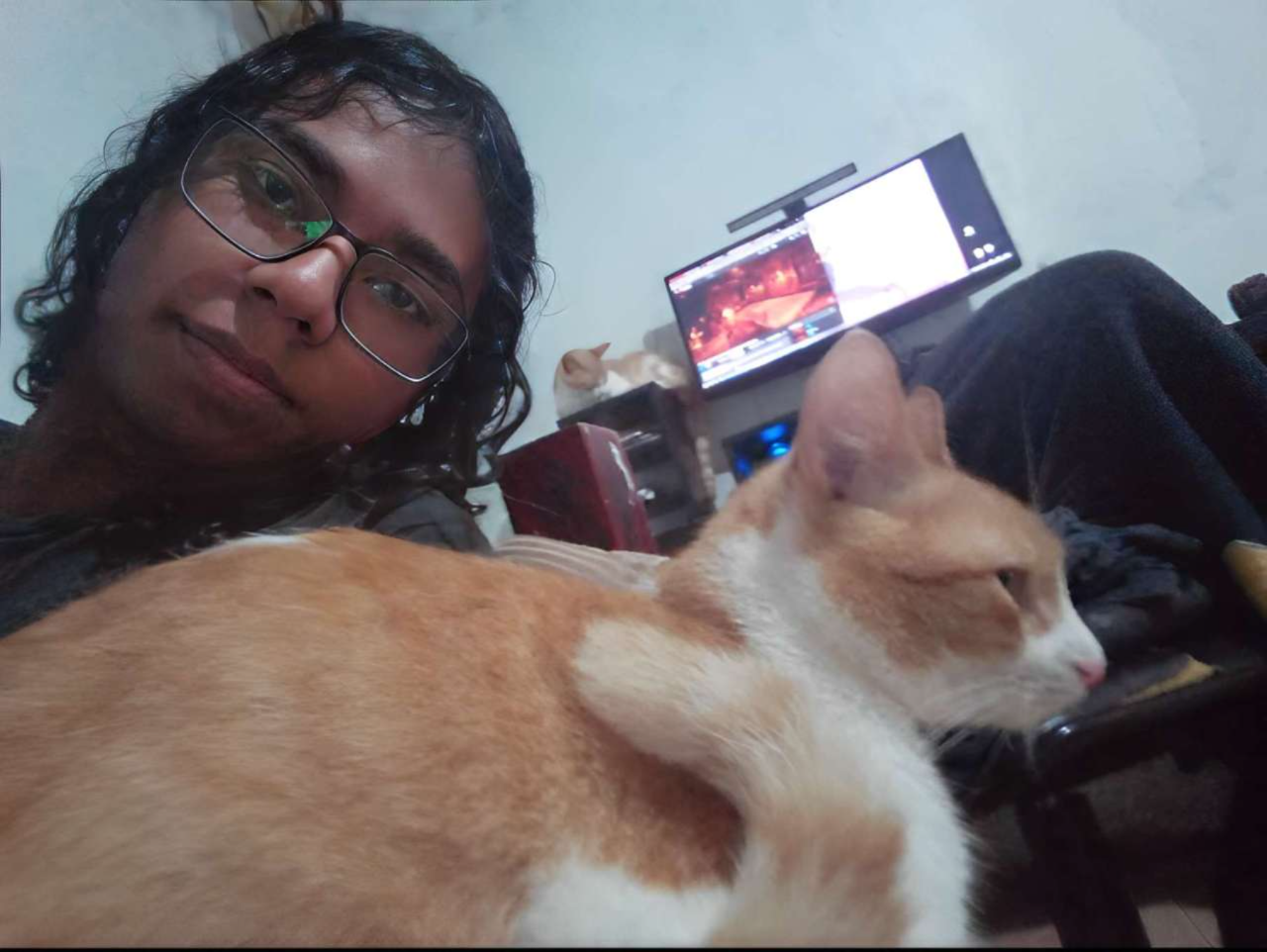 Ricardo Camilo - Frontend Dev- With an orange cat named Hércules